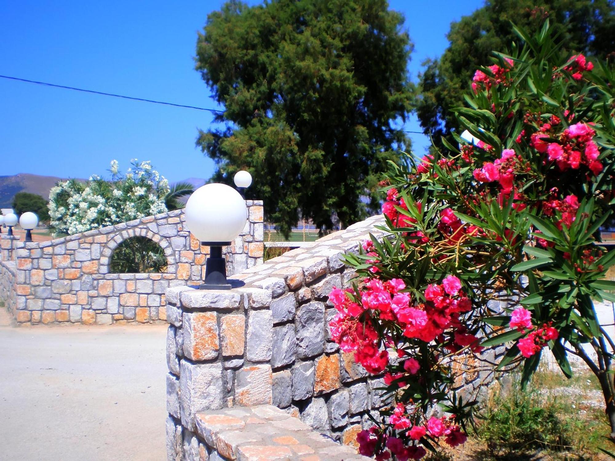 Galini Beach Hotel Kissamos Bagian luar foto